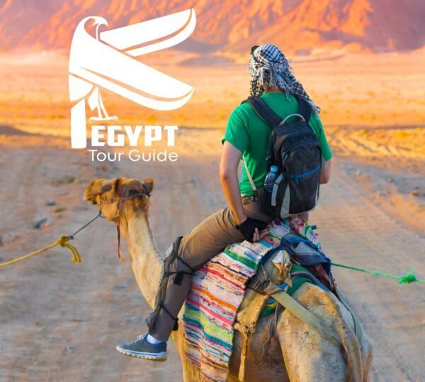 8-Hour Private Tour of the Pyramids, Egyptian Museum and Bazaar from Cairo